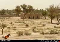 باغ خالصه بمپور