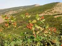 منطقه گردشگری هوراند