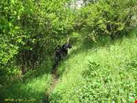 منطقه گردشگری هوراند