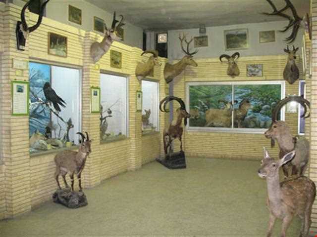 Natural history museum of tabriz