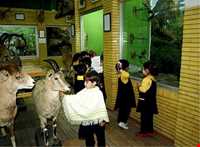 Natural history museum of tabriz