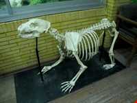 Natural history museum of tabriz