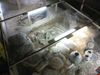 Iron age museum