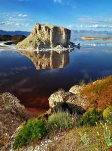 جزیره اسلامی