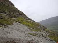 جزیره اسلامی