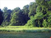 غار‌های قیرخ کوهول کهجوق