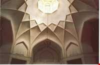 انگورستان ملک