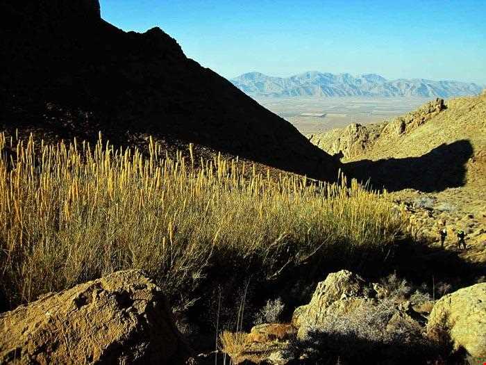 رشته کوه ماهدشت