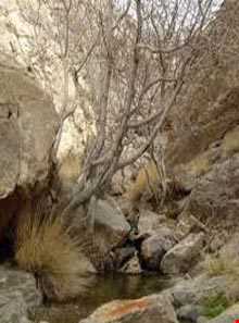 پارک ملی کلاه قاضی