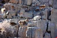 Kolah ghazi national park