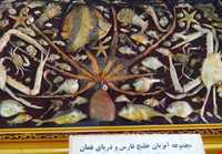 Talar teymouri (natural history museum )