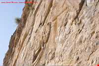 نقش پیروزی فیروزآباد