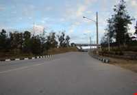 پارک جنگلی تل حاجی