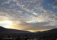 پارک جنگلی تل حاجی