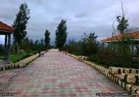 پارک جنگلی تل حاجی