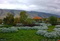 پارک جنگلی تل حاجی