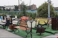 پارک جنگلی تل حاجی