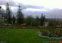 پارک جنگلی تل حاجی