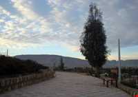 پارک جنگلی تل حاجی