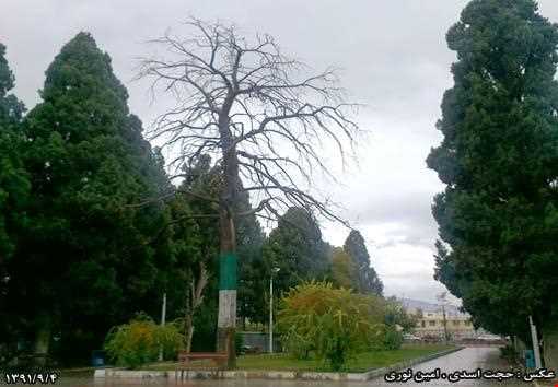 پارک ولیعصر فیروزآباد