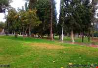 پارک ولیعصر فیروزآباد