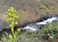 chal mahaleh waterfall