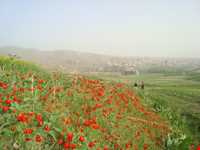 کلیسای سیر ارومیه