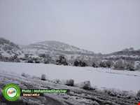 آبشار دشت ارژن