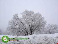 آبشار دشت ارژن