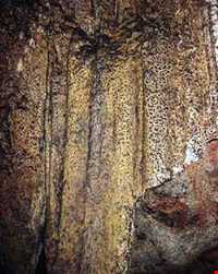 غار شاه قنداب