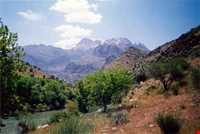 کوه دالان ونک