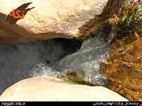 کوه دالان ونک