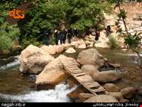 کوه دالان ونک