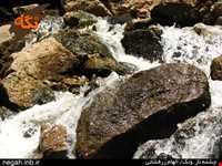 کوه دالان ونک