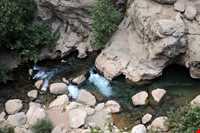 کوه دالان ونک