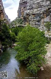 کوه دالان ونک