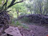 روستای قزاآن