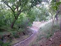 روستای قزاآن