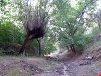 روستای قزاآن