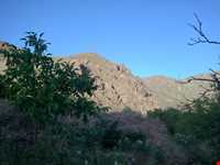 روستای قزاآن