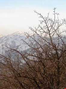 منطقه شکار ممنوع تالاب سه کانیان