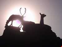 بوستان ساحلی بوکان