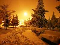 بوستان ساحلی بوکان