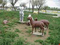 بوستان ساحلی بوکان