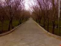 بوستان ساحلی بوکان