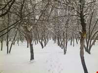 بوستان ساحلی بوکان