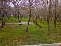 بوستان ساحلی بوکان