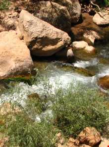 Cheshmeh naz protected area