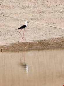Yakhab protected area
