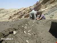 Yakhab protected area